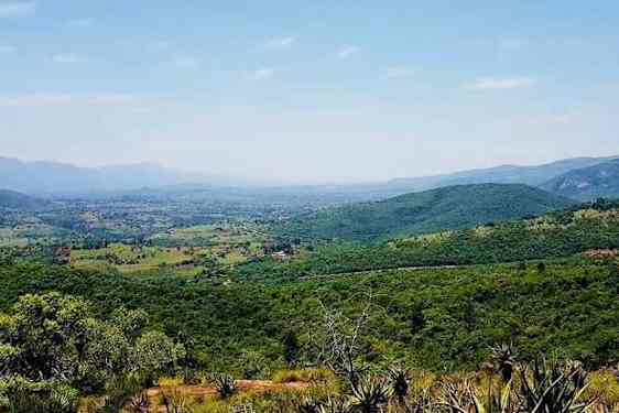 Eswatinin vehreää luonnonmaisemaa, taustalla vuoria.som Swaziland.