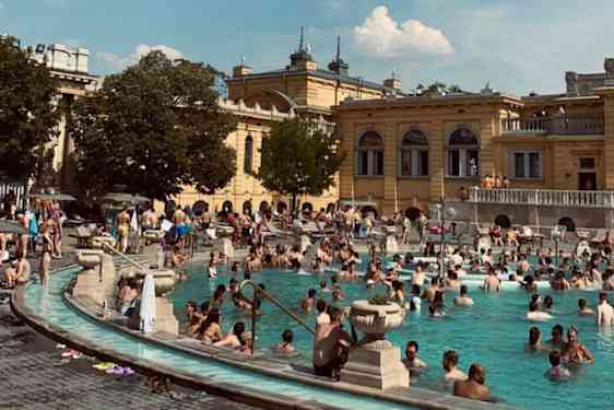 Paljon kylpijöitä altaalla