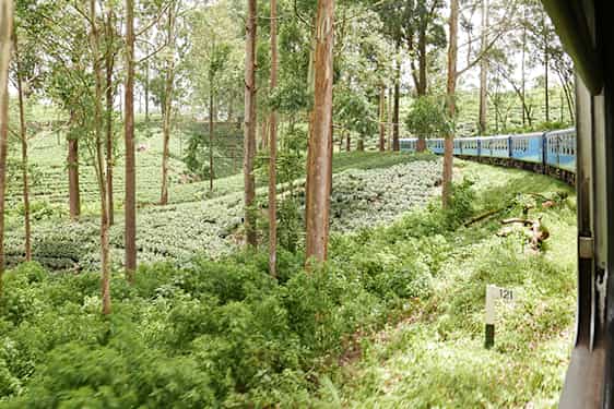 Matkusta junalla Sri Lankassa