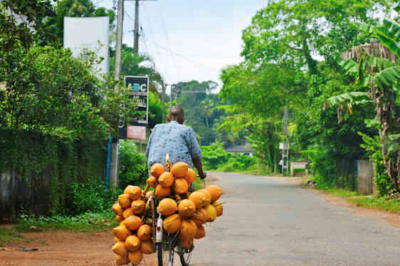 Man på cykel med frukt
