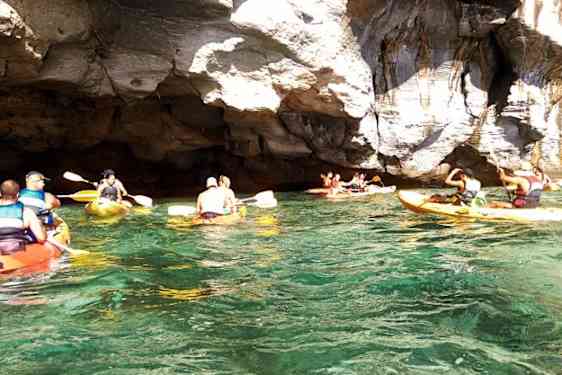 Melonta Gran Canarialla