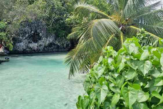 Paljon hienoja luontoelämyksiä.