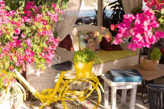 Keltainen polkupyörä ja kukkia