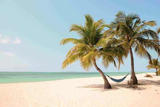 Riippumatto kahden palmun välissä, rannalla Malediiveilla