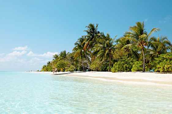 Vaalea korallihiekkaranta, turkoosi meri ja vihreitä palmuja.