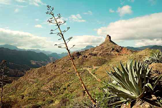 Vaellusmatkat Gran Canarialle