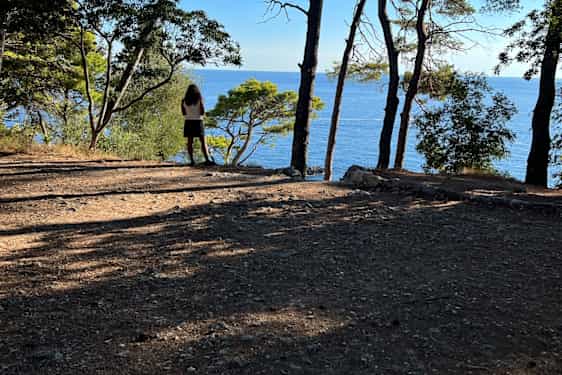 Varjoinen paikka puiden alla