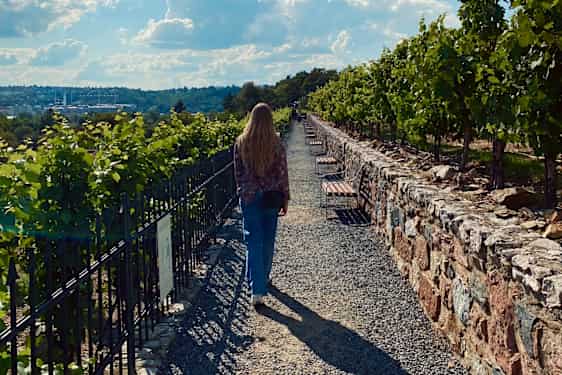 Kaci i Prag