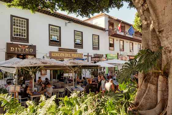 Viihtyisä ravintola, Puerto De La Cruz