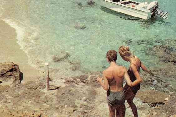 Tjäreborgin historia