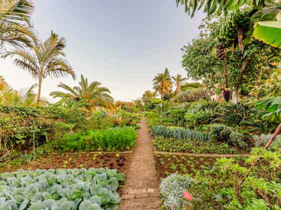 Hotellin oma vehreä puutarha ja viljelypalstat