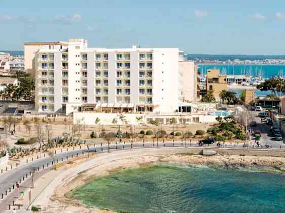 Zafiro Tropic huonekuva