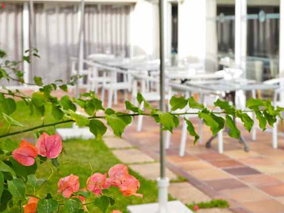 Zafiro Tropic uima-allas