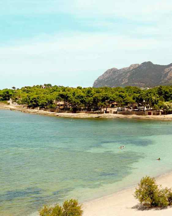 Alcudia