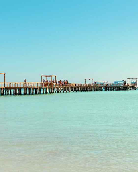 Ryhmä treenaamassa nurmella