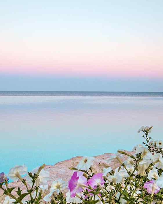 Ravintola Plataniaksessa