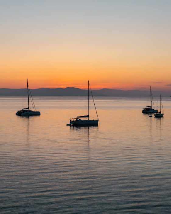 Purjeveneitä merellä