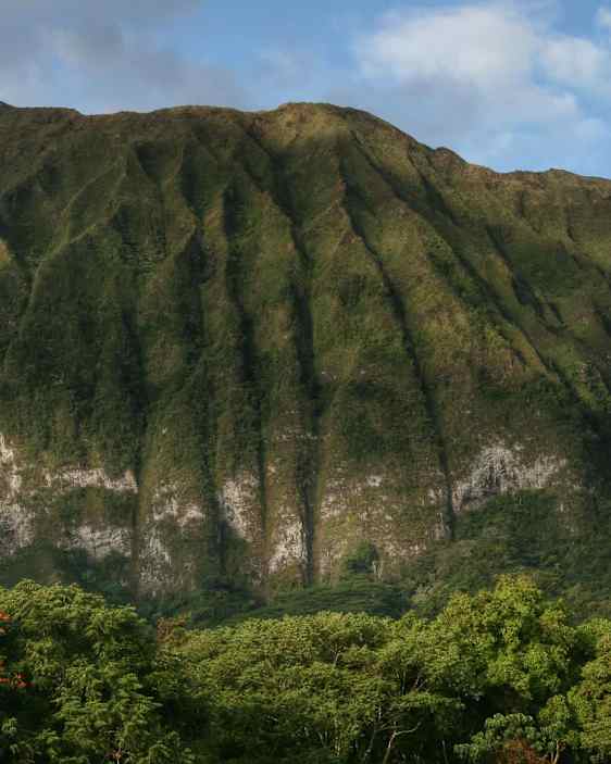 Vuori Havaijilla. Foto: Pixabay