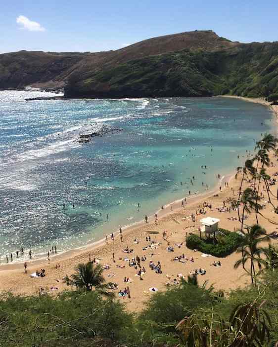 Havaijin rannikkoa. Foto: Pixabay