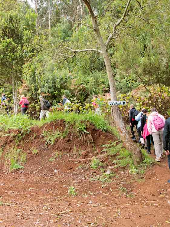 Vihreä levada ja patikoijat