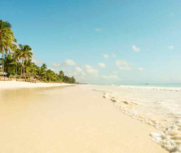 Trooppinen ranta palmuineen ja valkoisine hiekkarantoineen. (Tekoälyn luoma teksti)