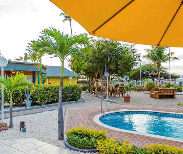 Ulkotila, jossa on uima-allas ja sitä ympäröivät kasvit, palmut ja ulkokalusteet. Etualalla näkyy keltainen aurinkovarjo. (Tekoälyn luoma teksti)