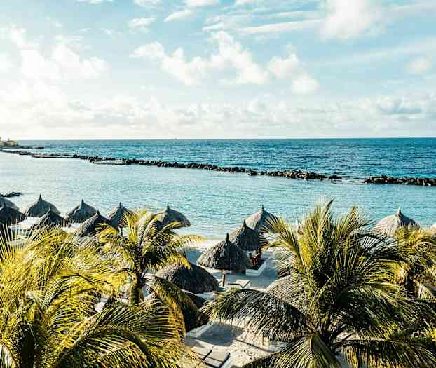 Ranta, jossa on aurinkovarjoja ja palmuja sinistä merta ja kivivallia vasten. (Tekoälyn luoma teksti)