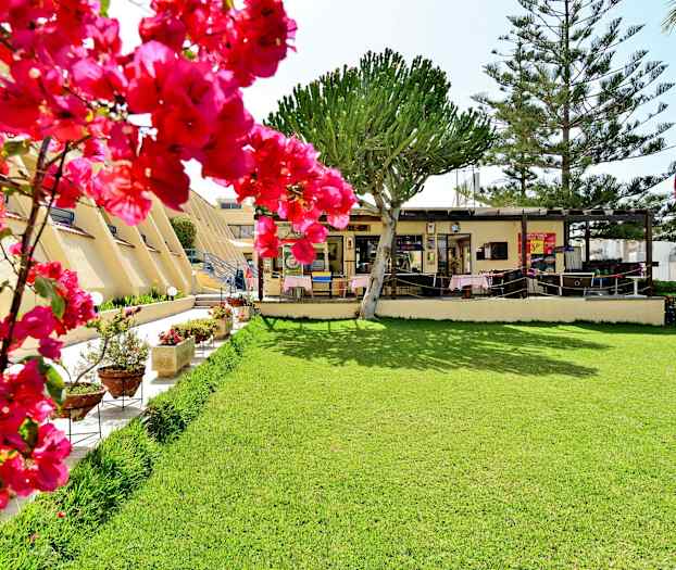 Kuva nurmikosta rakennuksen edessä, jossa on puita ja kukkivia vaaleanpunaisia pensaita. (Tekoälyn luoma teksti)