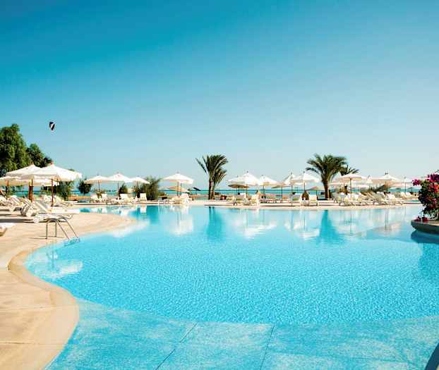 Suuri uima-allas, jonka ympärillä aurinkotuoleja ja aurinkovarjoja, taustalla näkyy palmuja ja kukkia. (Tekoälyn luoma teksti)