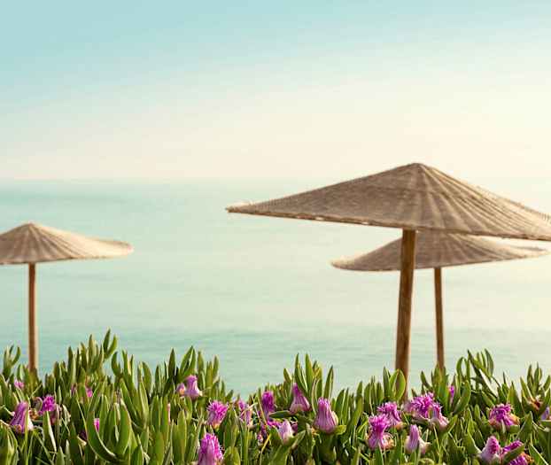 Kaksi rantavarjoa taustalla oleva meri ja etualan kukat. (Tekoälyn luoma teksti)