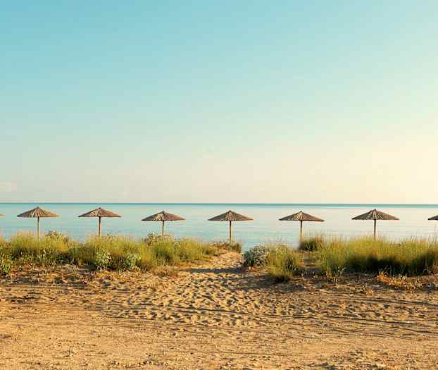 Ranta, jolla on seitsemän aurinkovarjoa rivissä ja taustalla meri. (Tekoälyn luoma teksti)