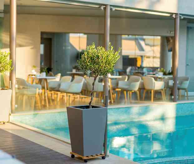 Pieni oliivipuu ruukussa altaan vieressä, taustalla tuoleja ja pöytiä. (Tekoälyn luoma teksti)