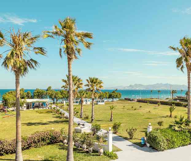 Näkymä vehreälle puutarhalle, jossa palmuja, ja taustalla näkyvä meri. (Tekoälyn luoma teksti)