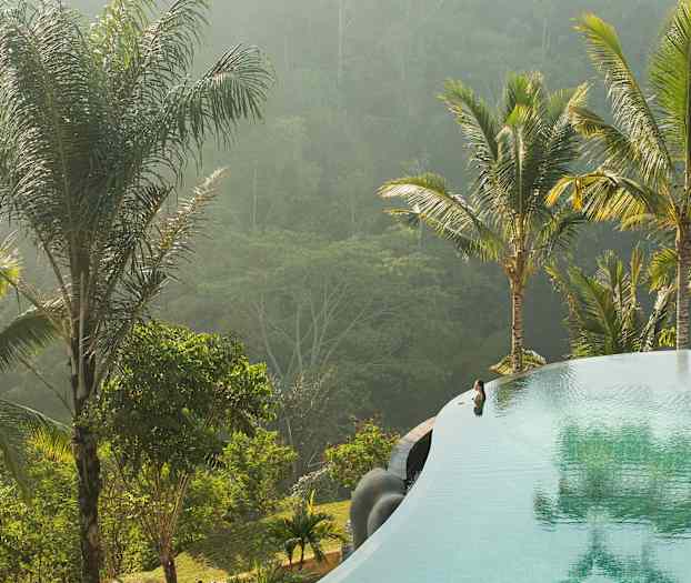 Infinity-allas palmuineen, taustalla vehreää kasvillisuutta. (Tekoälyn luoma teksti)