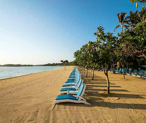 Hiekkaranta, jolla on aurinkotuoleja ja puita taustalla. (Tekoälyn luoma teksti)
