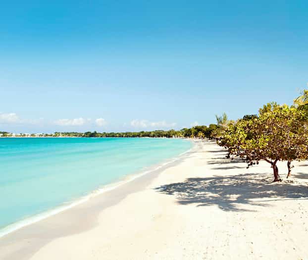 Ranta, jossa on valkoista hiekkaa, sininen meri ja puita rannalla kirkkaan sinisen taivaan alla. (Tekoälyn luoma teksti)