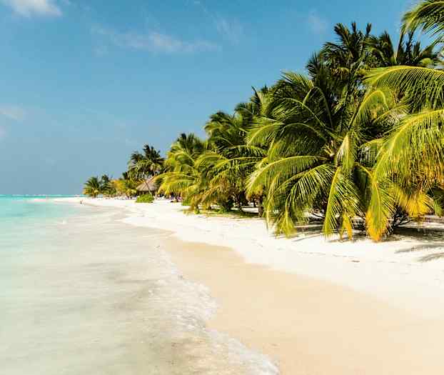 Trooppinen ranta, jossa on valkoista hiekkaa ja palmuja kirkkaan turkoosin veden äärellä. (Tekoälyn luoma teksti)