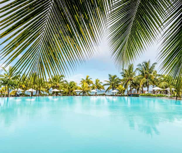 Suuri uima-allas, jota ympäröivät palmupuut ja aurinkovarjot. (Tekoälyn luoma teksti)