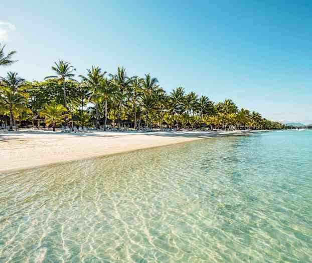 Hiekkaranta palmuineen ja kirkasta vettä. (Tekoälyn luoma teksti)