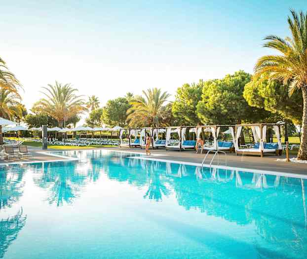 Ulkoallas, jota ympäröivät aurinkotuolit ja palmut. (Tekoälyn luoma teksti)