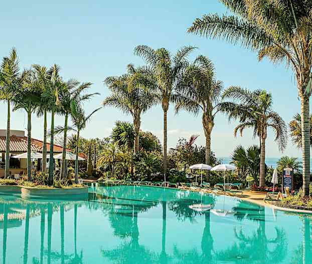 Ulkoallas, jonka ympärillä palmuja ja aurinkotuoleja. (Tekoälyn luoma teksti)