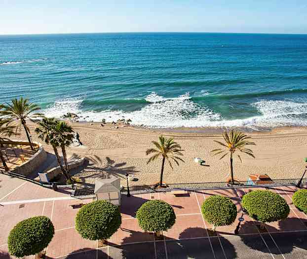 Näkymä rannalle, jossa on palmuja ja sininen meri. (Tekoälyn luoma teksti)