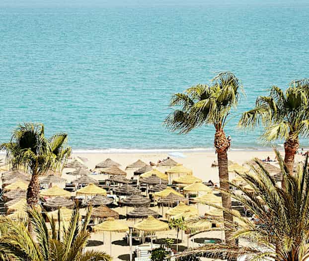 Ranta, jolla on aurinkovarjoja ja aurinkotuoleja, ja palmuja etualalla. (Tekoälyn luoma teksti)