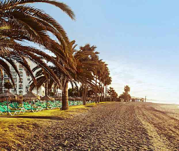 Ranta, jossa aurinkotuoleja, aurinkovarjoja ja palmuja taustalla. (Tekoälyn luoma teksti)