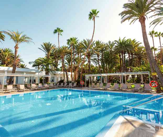 Ulkouima-allas, jota ympäröivät aurinkotuolit ja palmut. (Tekoälyn luoma teksti)