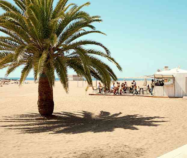 Ranta, jolla on palmu etualalla ja sen vieressä kahvila istumapaikkoineen. (Tekoälyn luoma teksti)