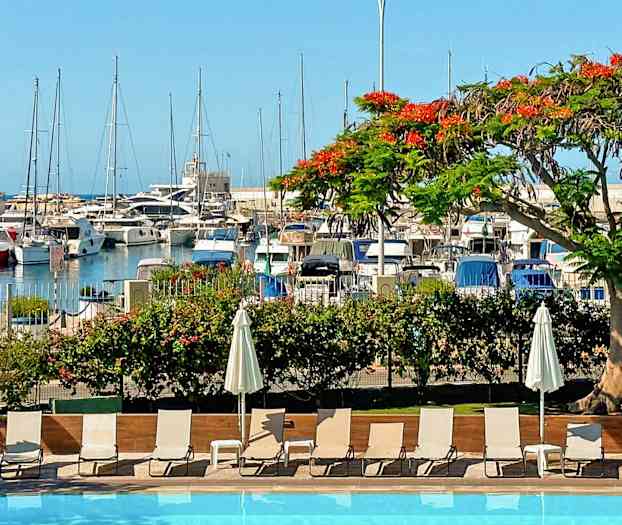 Uima-allas etualalla aurinkotuoleineen ja varjoineen, keskellä kukkiva värikäs puuoksa ja taustalla pienvenesatama. (Tekoälyn luoma teksti)