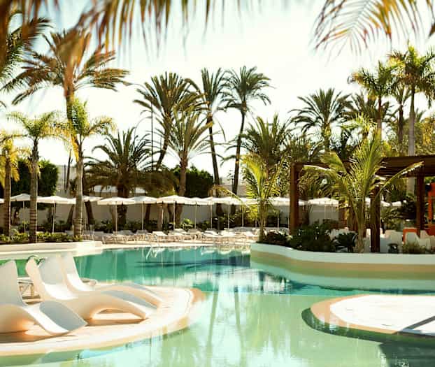 Ulkouima-allas, jota ympäröivät aurinkotuolit ja palmupuut. (Tekoälyn luoma teksti)