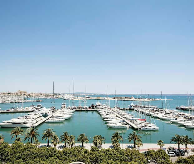 Satama, jossa on monia veneitä laituriin kiinnitettynä, ympärillä vettä ja etualalla palmuja. (Tekoälyn luoma teksti)