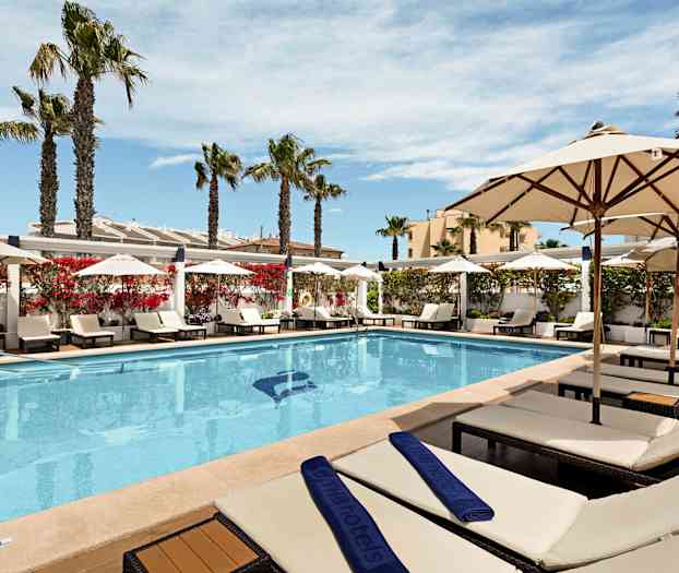 Ulkouima-allas, jonka reunalla aurinkotuoleja ja aurinkovarjoja, ympärillä palmuja ja kukkivia pensaita. (Tekoälyn luoma teksti)